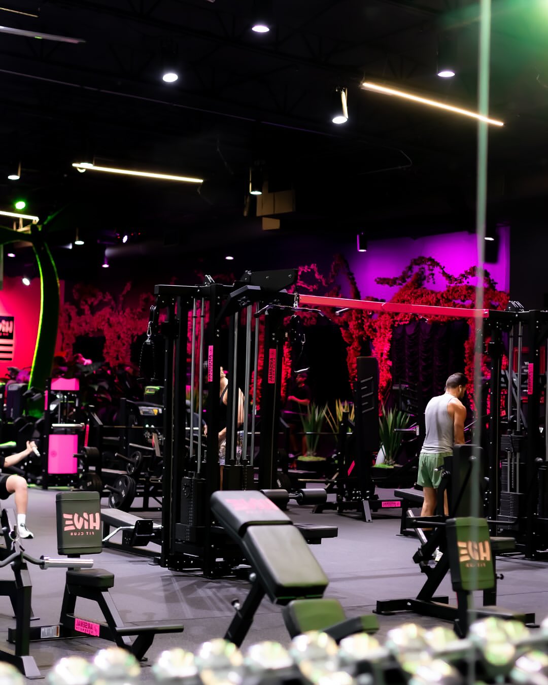 Functional Training: Build Real-Life Strength, Mobility & Balance